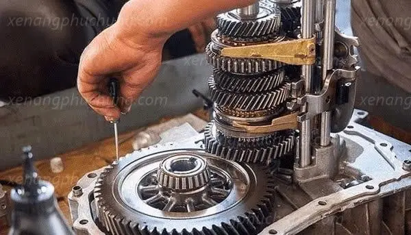 sửa hộp số xe nâng thực tế